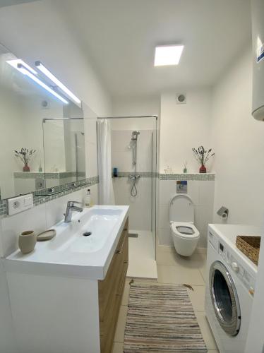 une salle de bain avec un lavabo et une machine à laver dans l'établissement Nice comfortable sea view, à Nice