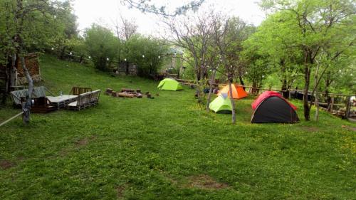 a group of tents in a grassy field at Sveri Adventure Camp in Chiatʼura
