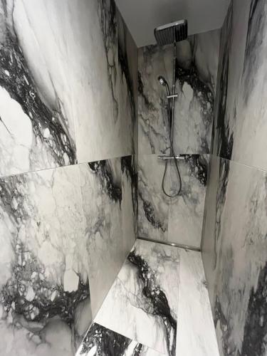 a black and white bathroom with a shower at Canova Apartment in Labin