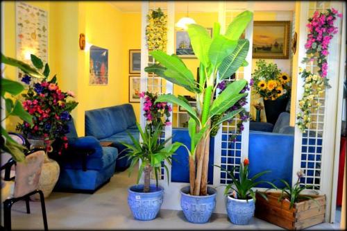 a living room filled with lots of potted plants at Hotel Anfora in Capoliveri