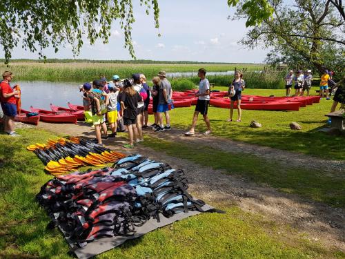 Gallery image of Biebrza CAMP - pole namiotowe in Goniadz