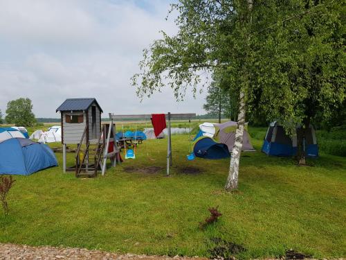 Gallery image of Biebrza CAMP - pole namiotowe in Goniadz