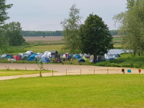Gallery image of Biebrza CAMP - pole namiotowe in Goniadz