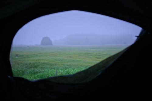 Gallery image of Biebrza CAMP - pole namiotowe in Goniadz