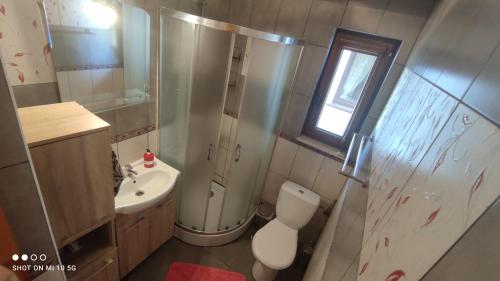 ウストロニエ・モルスキエにあるDomek drewniany modrzewiowy w Ustroniu Morskimのバスルーム(トイレ、洗面台付)、窓が備わります。