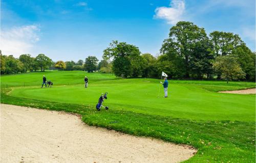 a dog is standing on a golf course at Lovely Home In Vire Normandie With Wifi in Saint-Martin-de-Tallevende