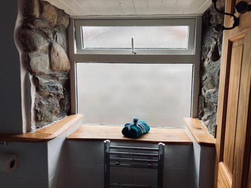 a kitchen with a window and a blue bowl on a counter at Stiwdio Eithinog in Caernarfon
