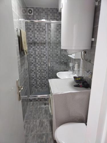 a bathroom with a shower and a toilet and a sink at Cezar in Arandjelovac