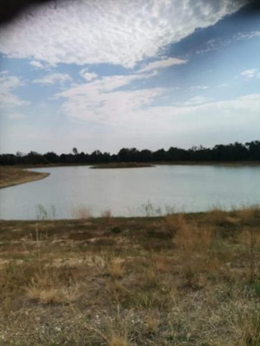 a large body of water in a field at Pázsit-tó Vendégház in Békésszentandrás