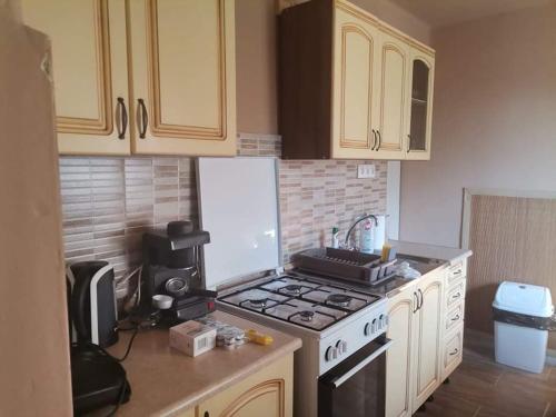 A kitchen or kitchenette at Pázsit-tó Vendégház