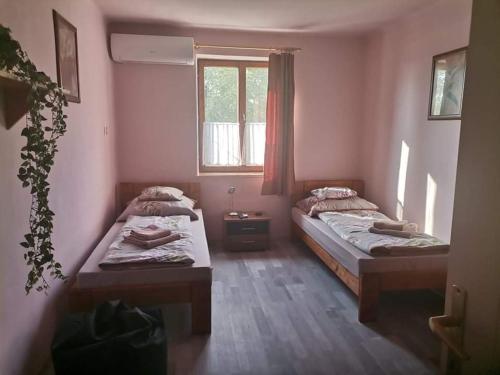 two twin beds in a room with a window at Pázsit-tó Vendégház in Békésszentandrás