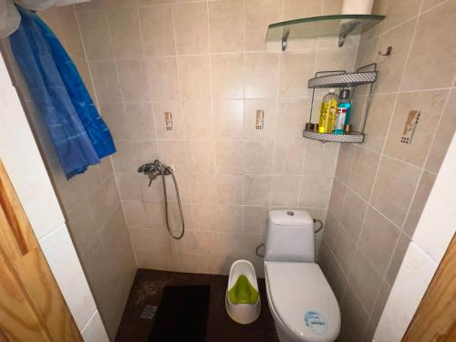 a small bathroom with a toilet and a shower at Ragaciems Guest house Beach 5 min Viesu māja pie jūras Апартаменты у моря in Ragaciems