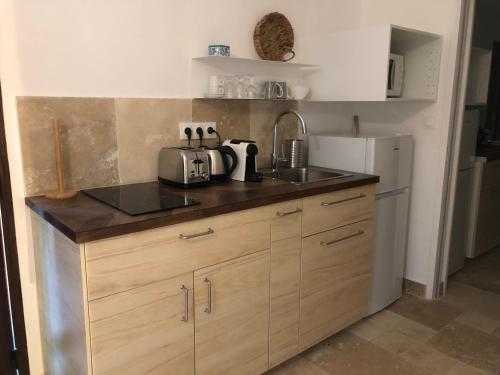 a kitchen with a counter and a sink and a refrigerator at Les Mazets de la Cascade in Salernes