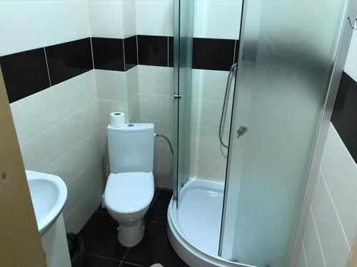 ヤブルニツァにあるCheremoshのバスルーム(トイレ、ガラス張りのシャワー付)