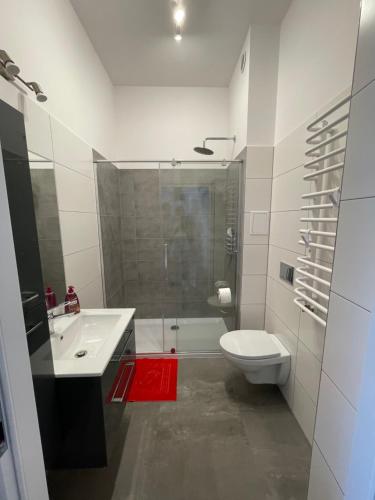 W łazience znajduje się umywalka, toaleta i prysznic. w obiekcie Mini apartament Ostróda w Ostródzie