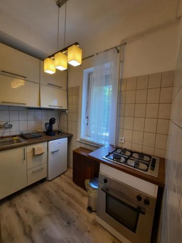 Kuchyň nebo kuchyňský kout v ubytování BeThere Apartman