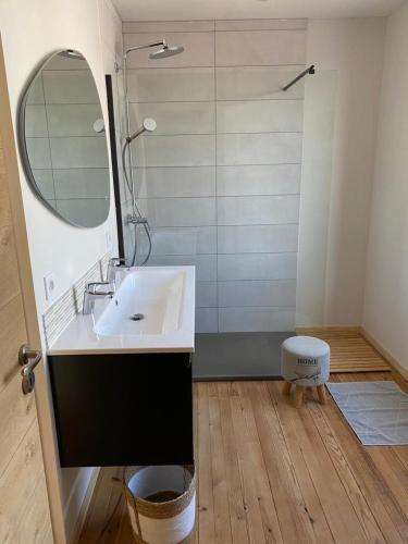 une salle de bain avec un lavabo, un miroir et une douche dans l'établissement Villa au calme dans un écrin de verdure 3ch, à Aytré