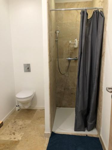 uma casa de banho com chuveiro e WC em Appartement T3 dans maison neuve 7 couchages em La Seyne-sur-Mer