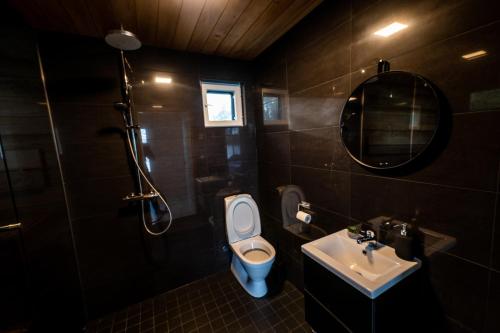 y baño con aseo, lavabo y ducha. en Villa Kuulas, en Sääskilahti