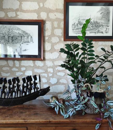 a table with a plant and pictures on a wall at Rêves & Rivière in Rivière