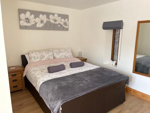a bedroom with a bed and a mirror at Red Kite Barn in Ammanford