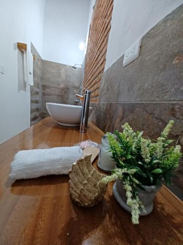 La salle de bains est pourvue d'un lavabo et d'une table avec une plante. dans l'établissement Hotel Archangelus, à Mompós