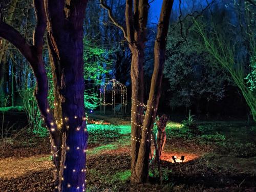 a group of trees with lights in a park at night at Haw thorn Hideaway in Doncaster