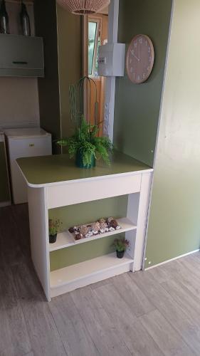 a white table with plants on it in a room at Le petit chalet d' Anto-Francè in Levie