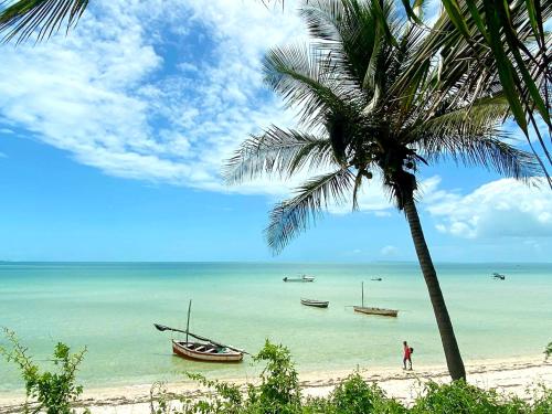 a palm tree on a beach with boats in the water at Baobab Beach Vilanculos in Vilanculos