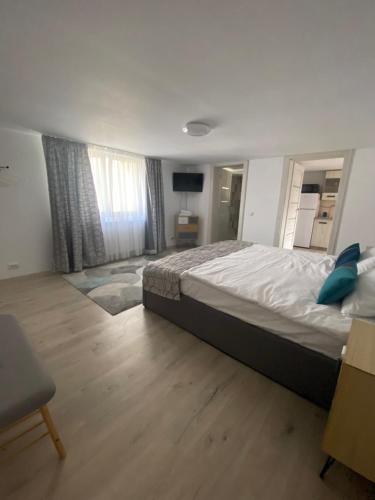 a bedroom with a large bed and a television at Garsonierele Scandinav in Predeal