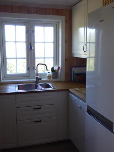 uma cozinha com um lavatório e duas janelas em Ny hytte i flott turterreng 