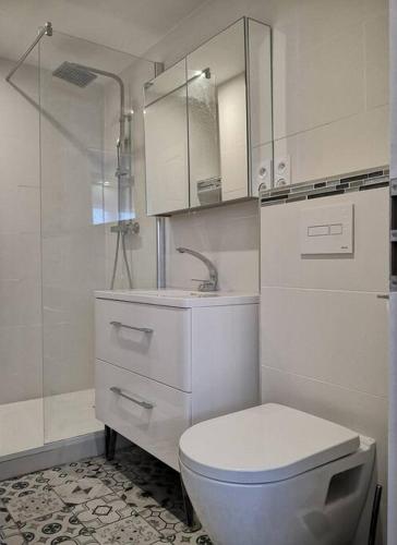 une salle de bain avec toilettes, lavabo et douche dans l'établissement Petit Paradis Cosy T1 Bis 40m2 Indépendent Studio en Maison avec Jardin & Parking Gratuit, à Caluire-et-Cuire