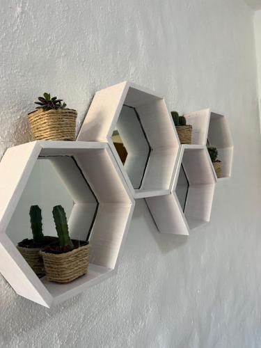 a white shelf on a wall with some plants at Hermoso condominio con alberca y club de playa!! in Manzanillo
