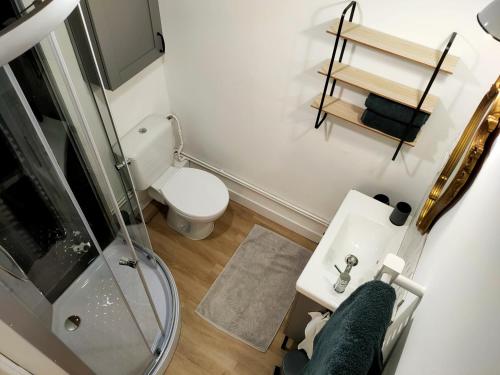 a bathroom with a shower and a toilet and a sink at Agréable studio de l'Arsault avec parking in Périgueux