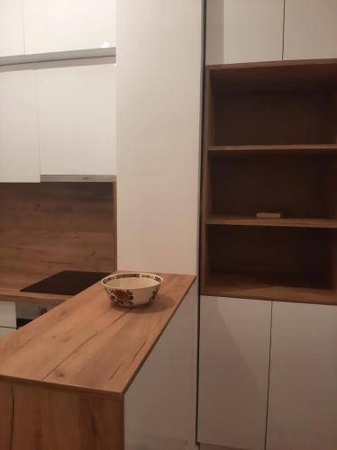 Kuchyň nebo kuchyňský kout v ubytování Stan na dan Bulevar-Studio apartman