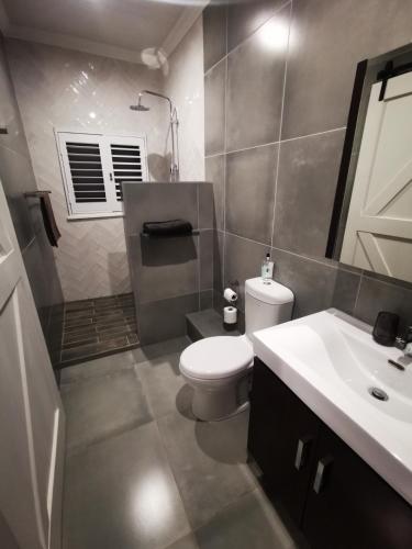 een badkamer met een toilet en een wastafel bij 10 Jock Meiring Guesthouse Unit 3 in Bloemfontein