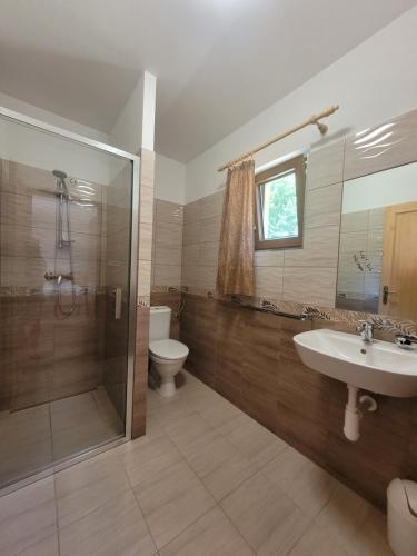 a bathroom with a shower and a sink and a toilet at Chaty u Tesaru in Bítov