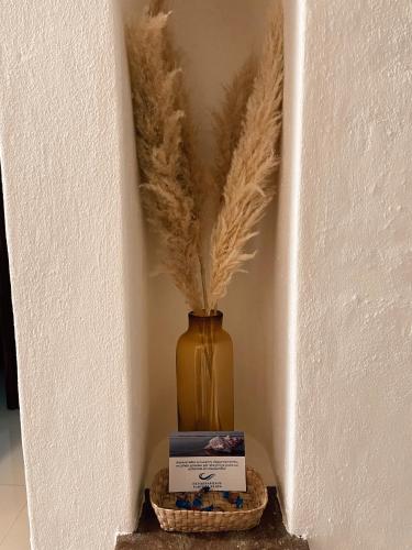 a vase sitting on a shelf with a book and feathers at Hermoso condominio con alberca y club de playa!! in Manzanillo