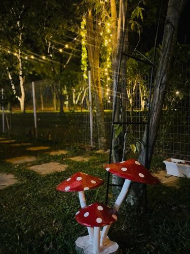 Jardín al aire libre en Laman Jubilee DBayu