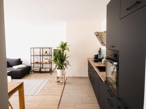 eine Küche und ein Wohnzimmer mit einem Sofa in der Unterkunft Exklusiv 72qm FeWo im Herzen Detmolds, Terrasse und kostenloser Parkplatz in Detmold