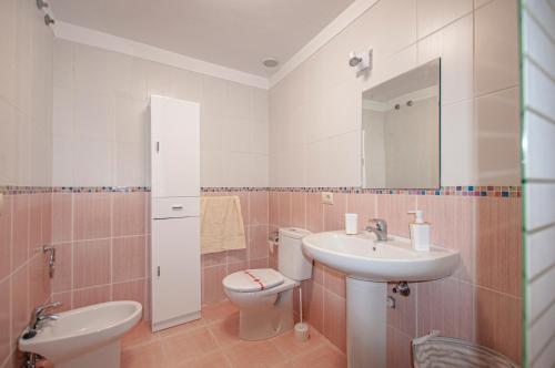 a bathroom with a sink and a toilet and a mirror at Apartamento Cruz de Toledo in Buenavista del Norte