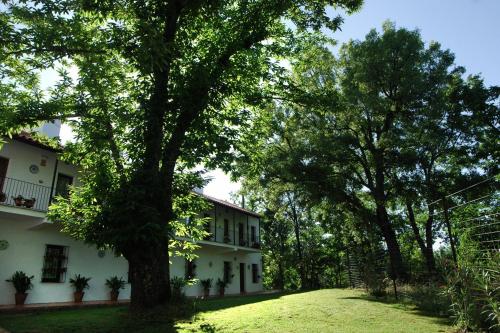 a large tree in front of a building at Hotel Apartamento Rural Finca La Media Legua in Aracena