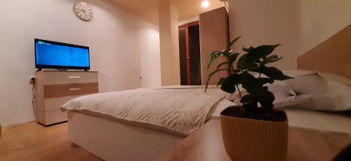 a bedroom with a bed and a potted plant at Apartment Riki 2 in Ohrid