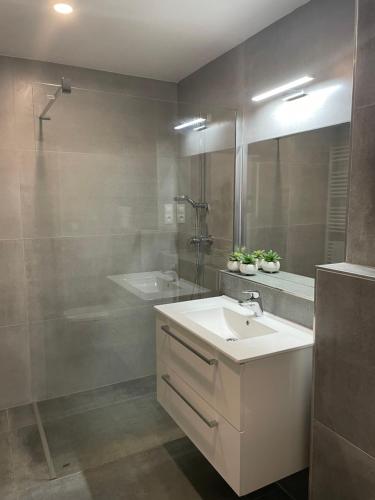 a bathroom with a sink and a shower and a mirror at Apartmány Elzet in Třeboň