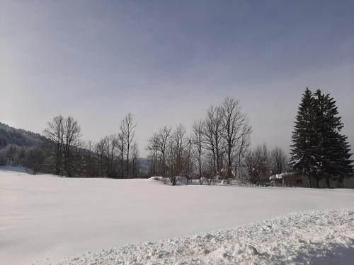 a large snow covered field with trees in the background at Chalet Woody in Stara Sušica