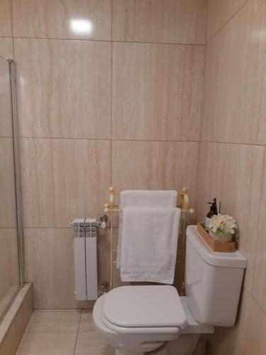 a bathroom with a white toilet and a shower at Departamento Nuevo en Cipolletti in Cipolletti
