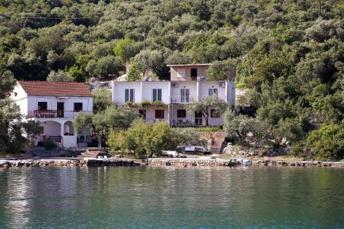 a house on the shore of a body of water at Apartment Zuronja 10137b in Brijesta