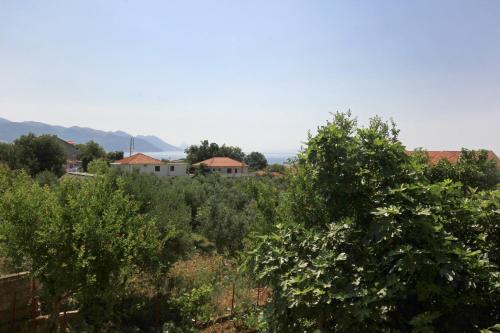 a field of trees with a house in the background at Apartments and rooms with parking space Orebic, Peljesac - 10191 in Orebić