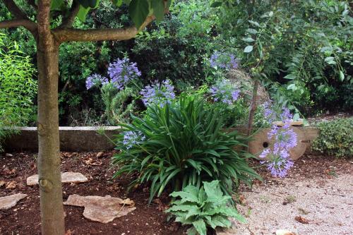 a garden with purple flowers and a tree at Apartments by the sea Loviste, Peljesac - 10197 in Lovište