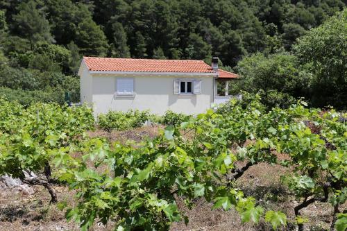 Apartments with parking space Trstenik, Peljesac - 10109